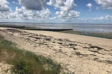 Low tide on Dr Dinet's beach in Les Moutiers-en-Retz_4