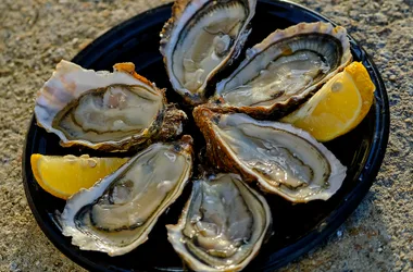 Sea trip with oyster farmer Damien Raballand - October 2021 - Copyright Océan production (65)