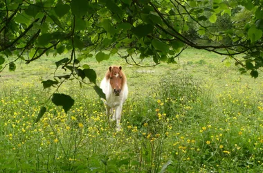 La Métairie