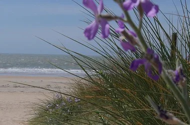 PLAGE DE LA PARÉE GROLLIER