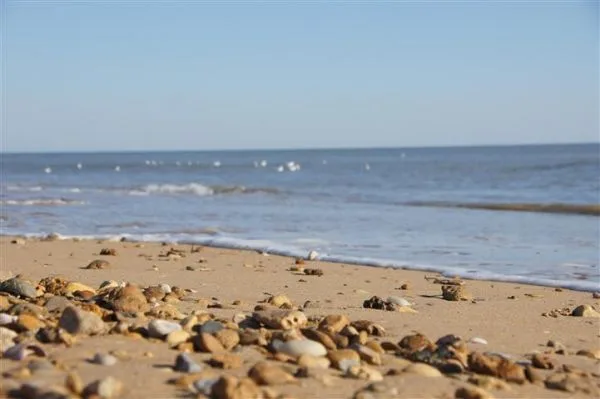 Plage du Bois Soret