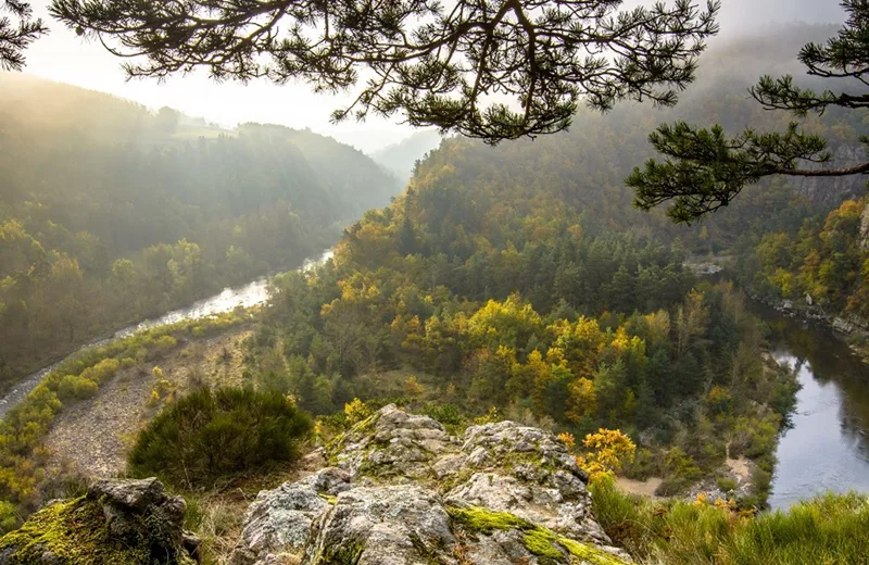 GR3 Source et Gorges de la Loire