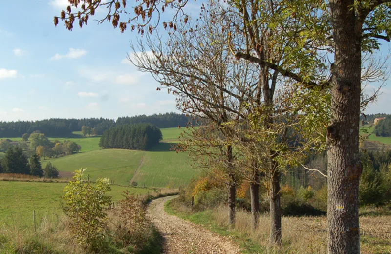 PR276 Le tour des moulins de la Semène