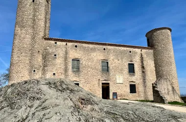 Castello di Essalois