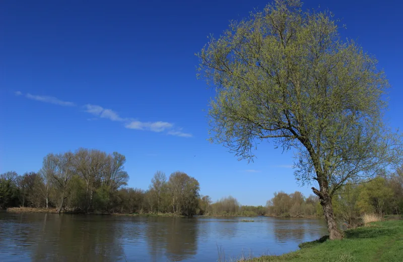 Entdecken Sie die Ufer der Loire