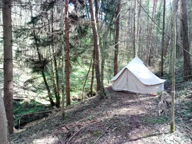 Bivouac en forêt