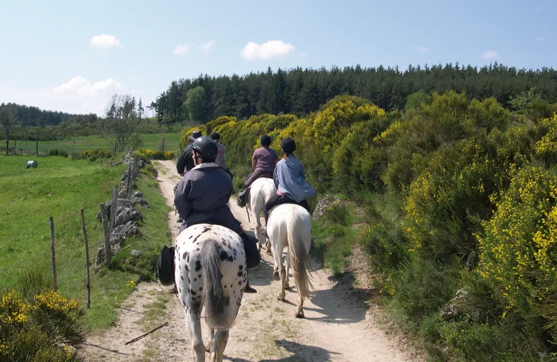 Promenades à Poney