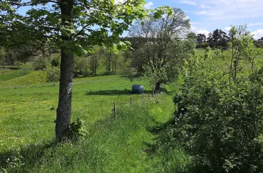 Gîte Au Petit Montbrison