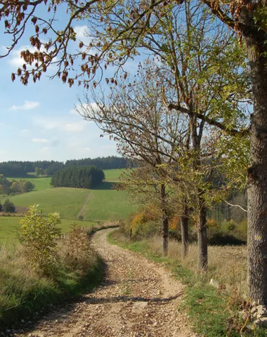 PR276 Le tour des moulins de la Semène