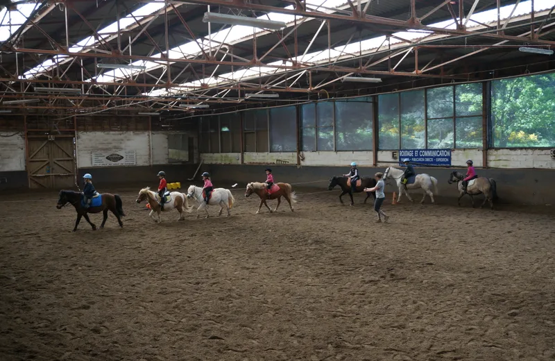 Clases de pony en la escuela de equitación.