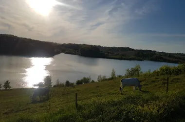 Domaine de Bilé