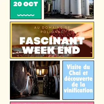 Visite spéciale vendanges à Polignac