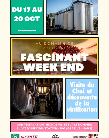 Visite spéciale vendanges à Polignac