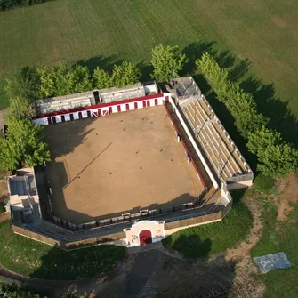 Arènes de Toujouse