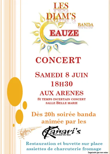 Concert des Diam’s