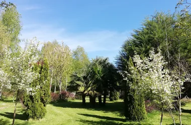 Lassis Garden Arboretum
