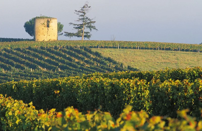 Vignerons du Gerland