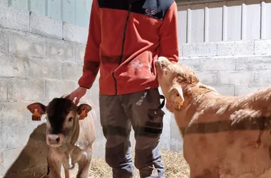 Visite de la Ferme du Péré