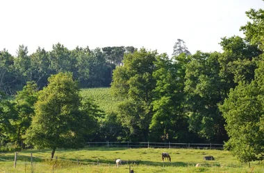 Chambres d’Hôtes – Le Relai du Haget