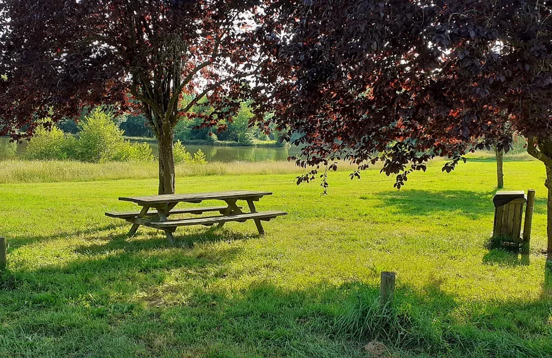 área de picnic