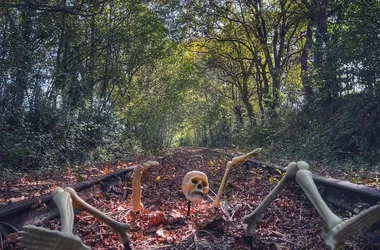 Halloween au Vélorail de l’Armagnac