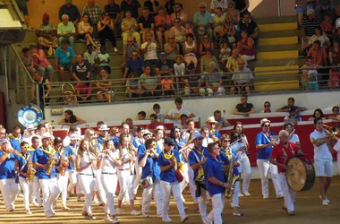 Fêtes de NOGARO : bandas, courses landaises, repas,  bodegas…