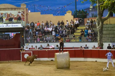 Fêtes de NOGARO : bandas, courses landaises, repas,  bodegas…