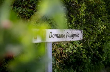 Visite spéciale vendanges à Polignac