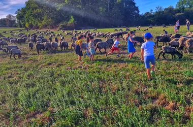 Artisanat et transhumance au Musée du Paysan Gascon