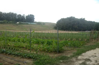 Le Jardin de Léo – Légumes bio