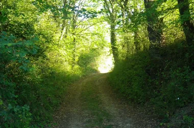 Le Circuit des Collines – à pied