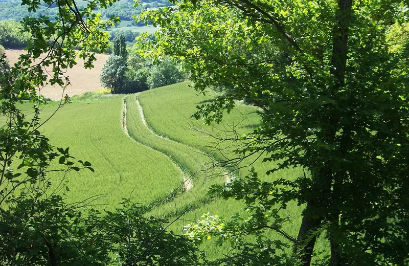 Le Circuit des Collines – à pied