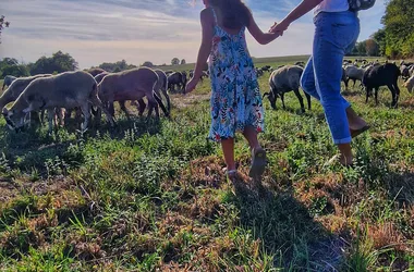 Artisanat et transhumance au Musée du Paysan Gascon