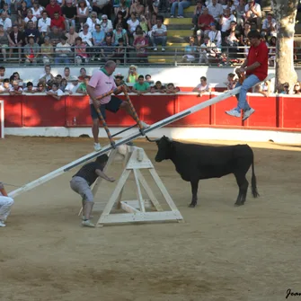 Fêtes de NOGARO : bandas, courses landaises, repas,  bodegas…