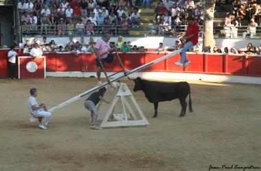 Fêtes de NOGARO : bandas, courses landaises, repas,  bodegas…