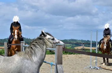 La Ferme équestre de Lupiac