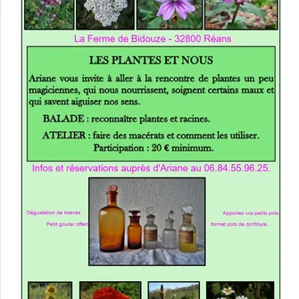 Atelier “Les plantes et nous”