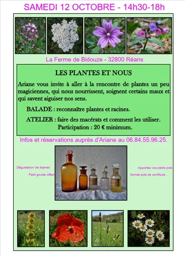 Atelier “Les plantes et nous”