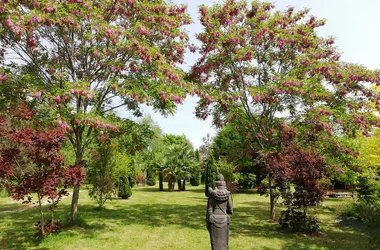 Arboreto del jardín de Lassis