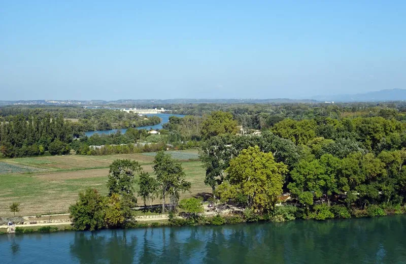 L’île de la Barthelasse