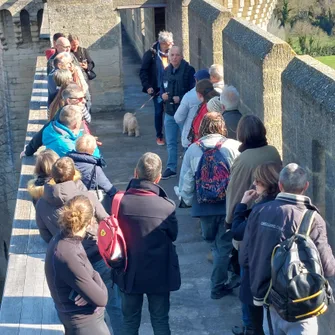 Visite libre du Fort Saint-André