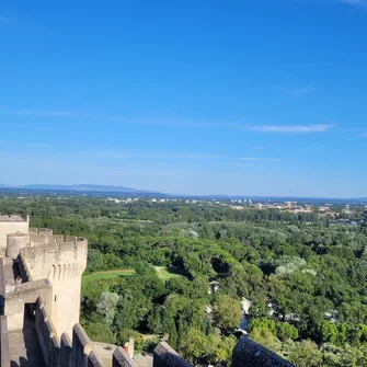 Conférence : un Fort, un fleuve : le Rhône, dans le cadre du Festival “Dans les bras du Rhône”