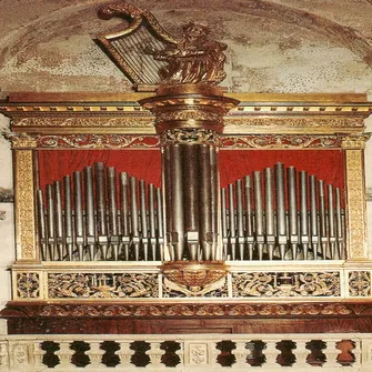 Musique Sacrée et Orgue en Avignon