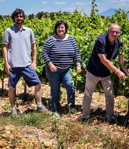 Villeneuve lez Avignon et Sauveterre, terroir et vin dans le Gard