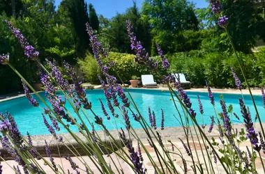 Dans un Jardin en Provence