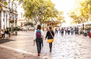 Avignon en un clin d’oeil