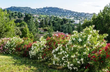 Gîte “La Colline des Chèvres”