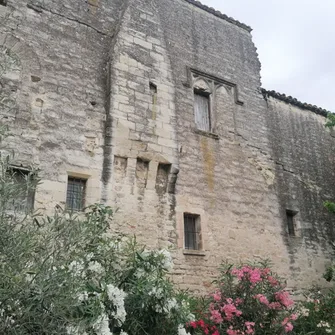 Histoire du palais de la Thurroye