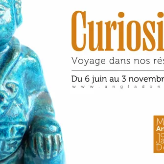 Visites commentées de l’exposition Curiosité. Voyage dans les réserves du musée Angladon