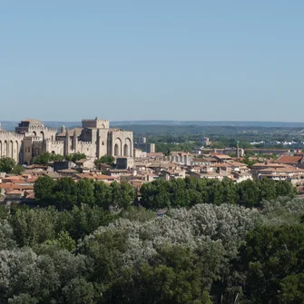 Palais des Papes